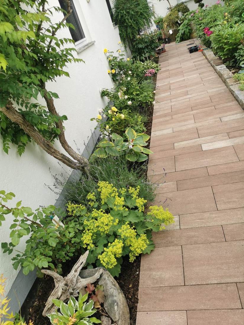 Gepflegtes Blumenbeet an der Hauswand