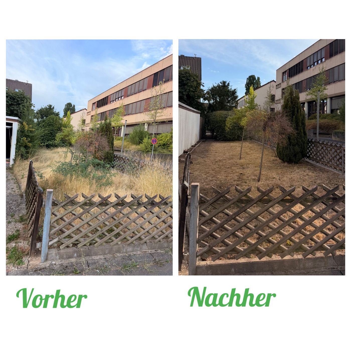 Vorher-Nachher: Grundstückspflege