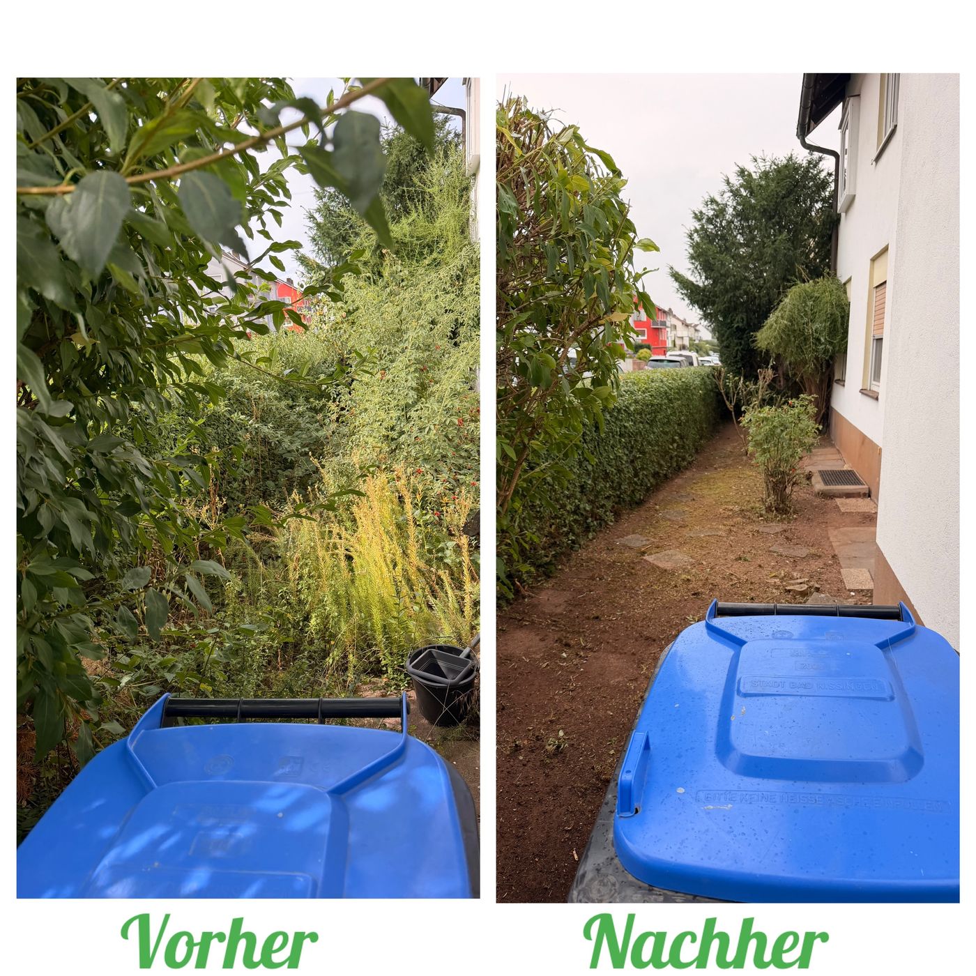 Vorher-Nachher: Gartenweg freigelegt