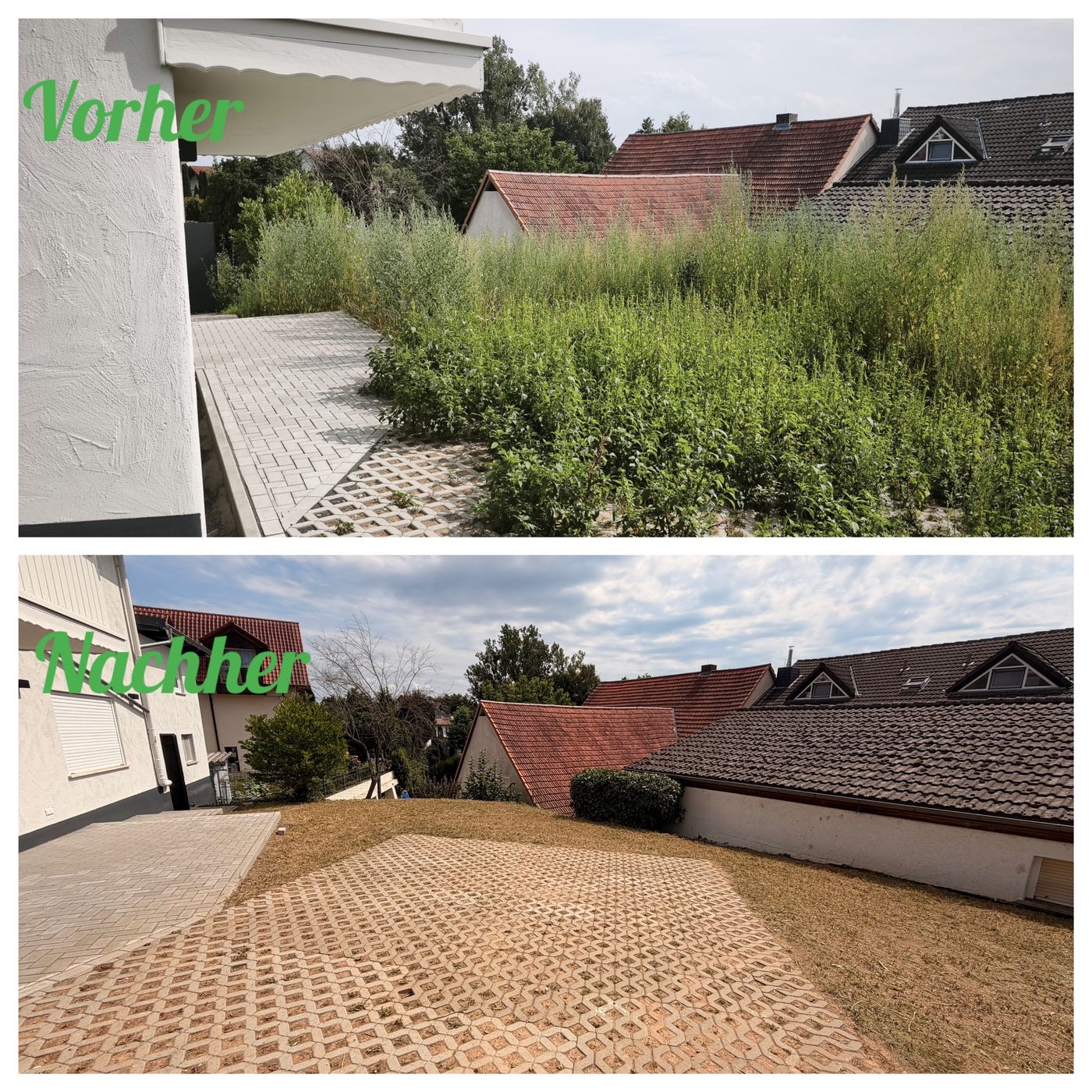 Vorher-Nachher: Grundstück zurückgeschnitten